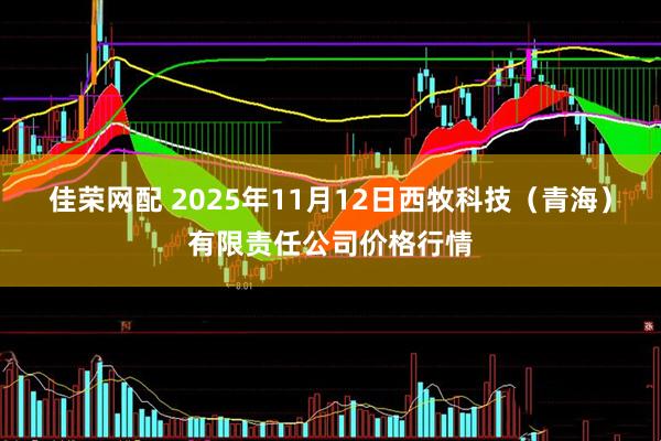 佳荣网配 2025年11月12日西牧科技（青海）有限责任公司价格行情